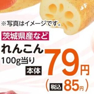 レンコン