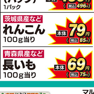レンコン