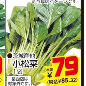 こまつ菜