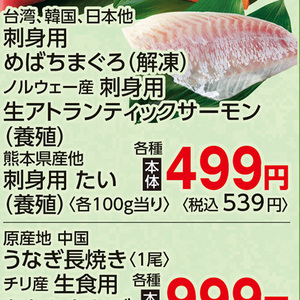 サーモン（刺身）