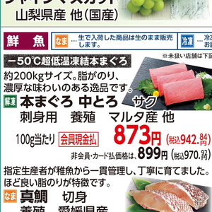 まぐろ中とろ