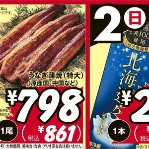 うなぎの蒲焼き