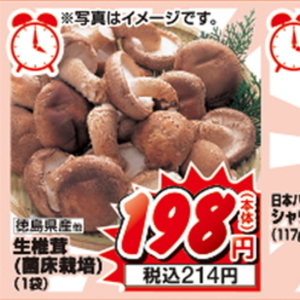 しいたけ