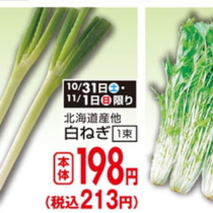 ながねぎ