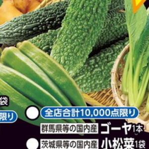 こまつ菜
