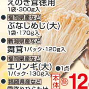 エリンギ