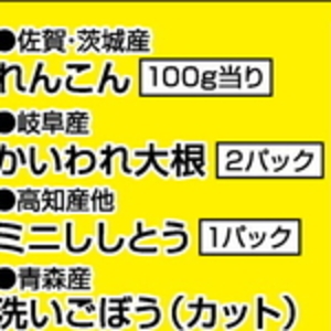カイワレ大根