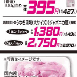 うなぎの蒲焼き