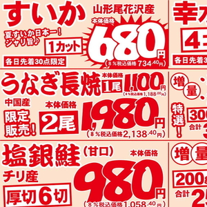 うなぎの蒲焼き