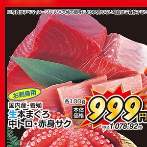 まぐろ中とろ