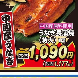 うなぎの蒲焼き