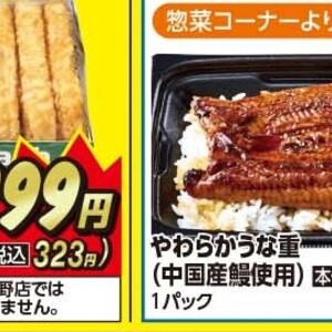 うなぎの蒲焼き