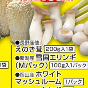 えのき茸