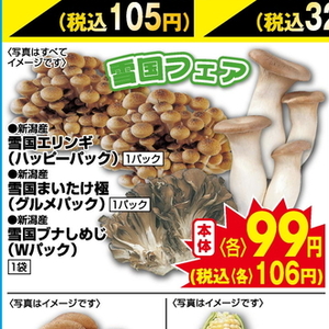 まいたけ