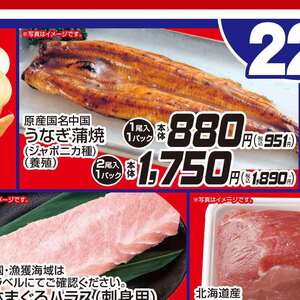 うなぎの蒲焼き