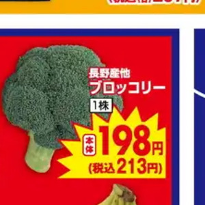 ブロッコリー