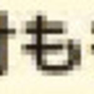 鶏手羽元