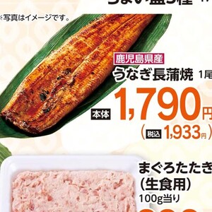 うなぎの蒲焼き