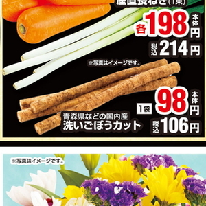 ながねぎ