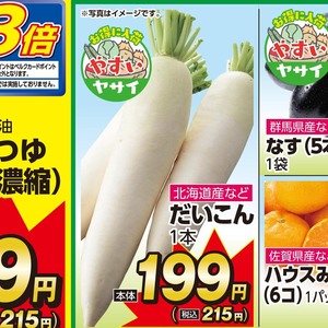 だいこん