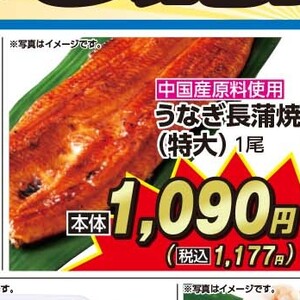 うなぎの蒲焼き