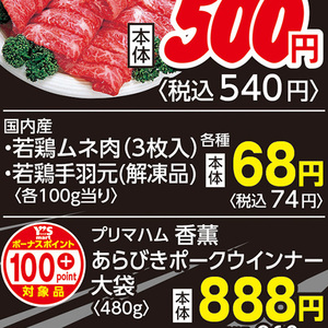 鶏手羽元