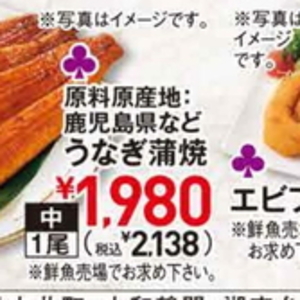 うなぎの蒲焼き