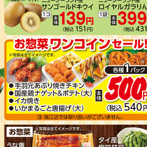 鶏手羽元