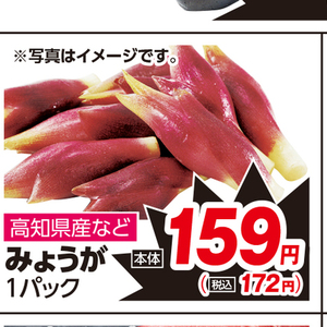 みょうが