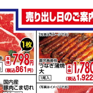 うなぎの蒲焼き