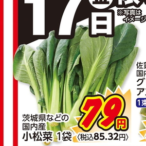 こまつ菜