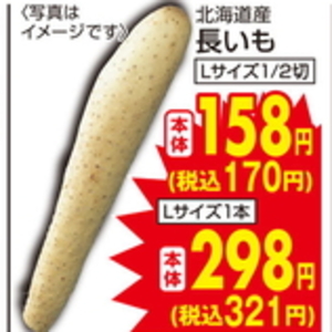 ながいも