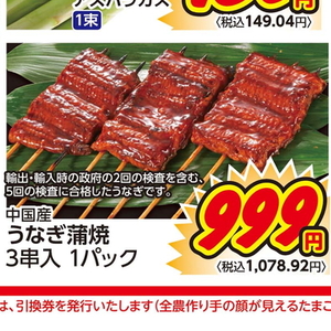 うなぎの蒲焼き