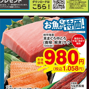 まぐろ中とろ