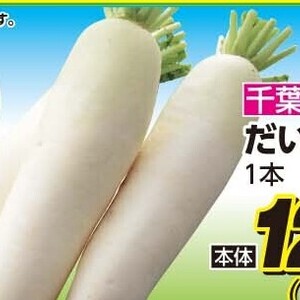 だいこん