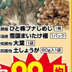 まいたけ