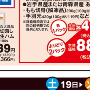 鶏手羽元
