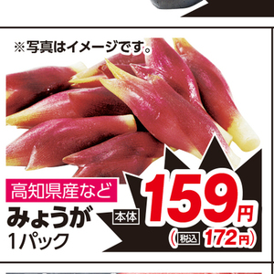 みょうが