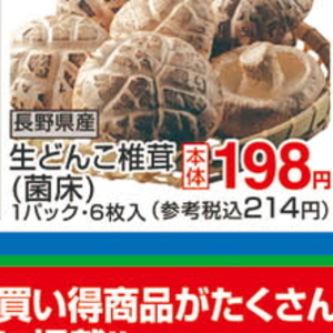 しいたけ