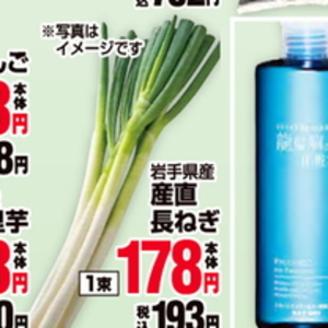 ながねぎ