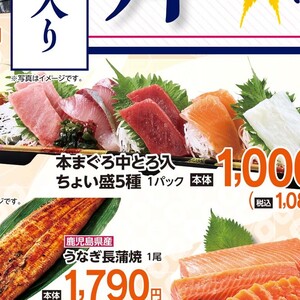 まぐろ中とろ
