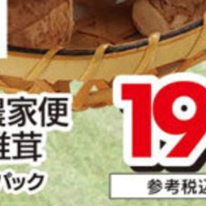 しいたけ