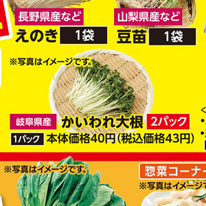 カイワレ大根