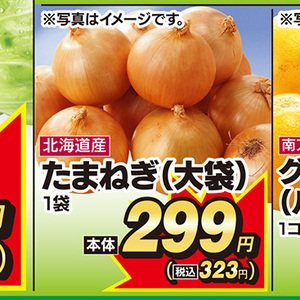 たまねぎ