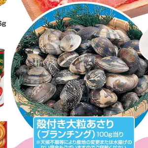 あさり