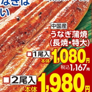 うなぎの蒲焼き