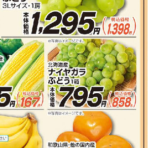 とうもろこし
