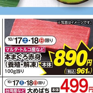 まぐろ赤身