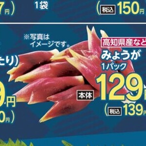 みょうが