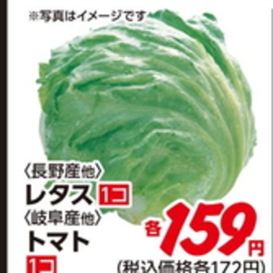 レタス